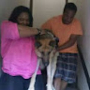 Meet your Posher, Tia